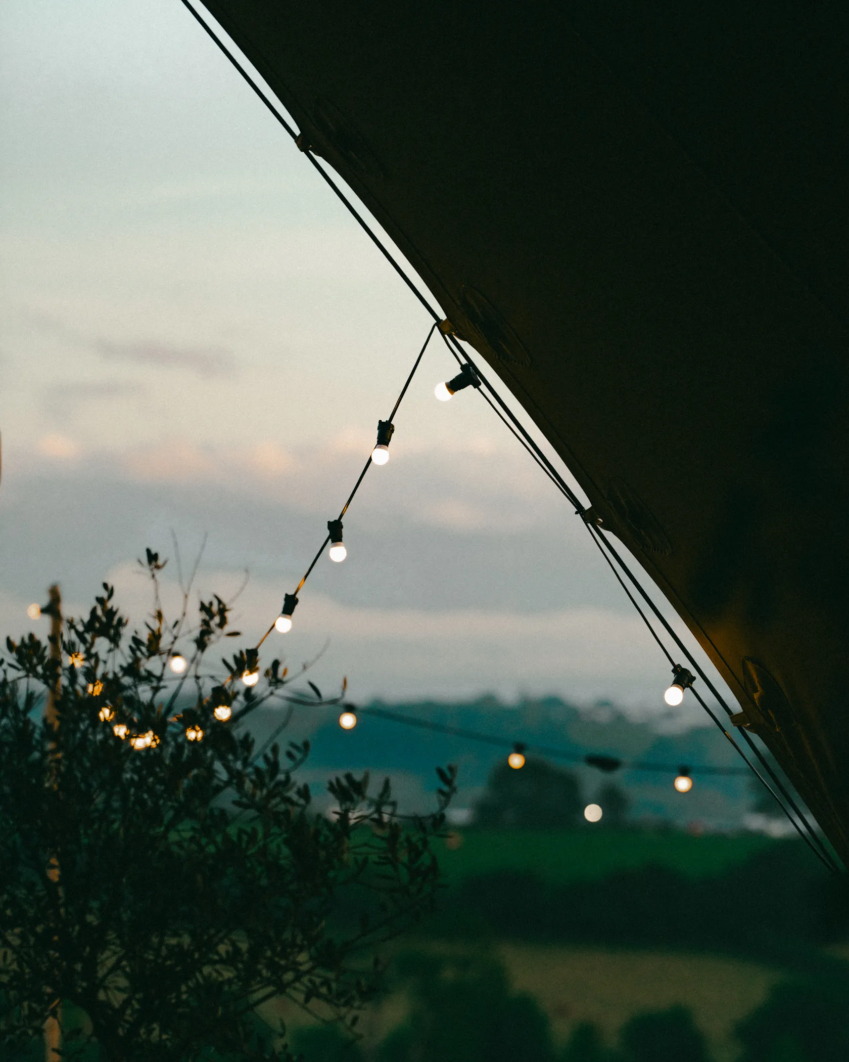 Festoon lights strung from the edge of a canvas tent at dusk, glowing over an olive tree and rolling green countryside
